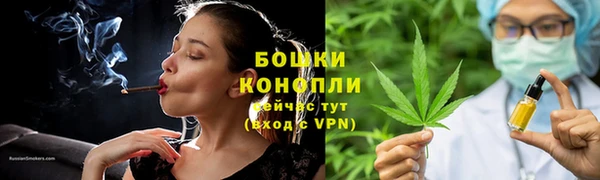 дживик Белокуриха