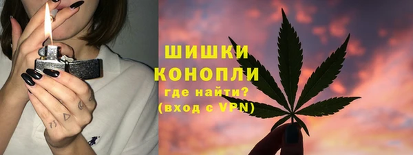 дживик Белокуриха