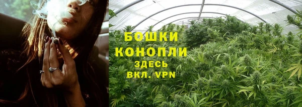 дживик Белокуриха