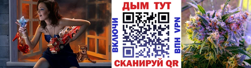 Бошки марихуана гибрид  гидра   Выборг  где купить наркоту 